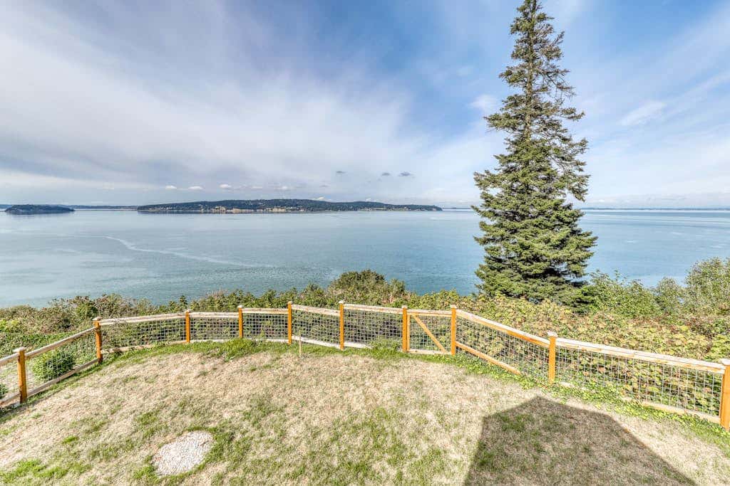 The Lookout