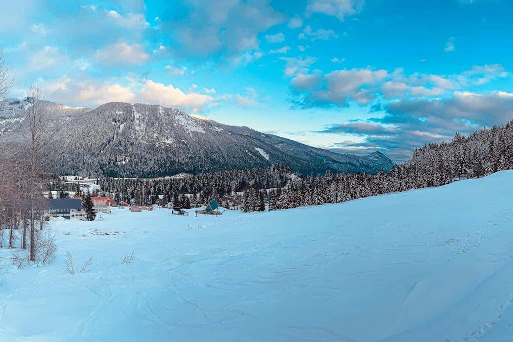 The Skis Knees