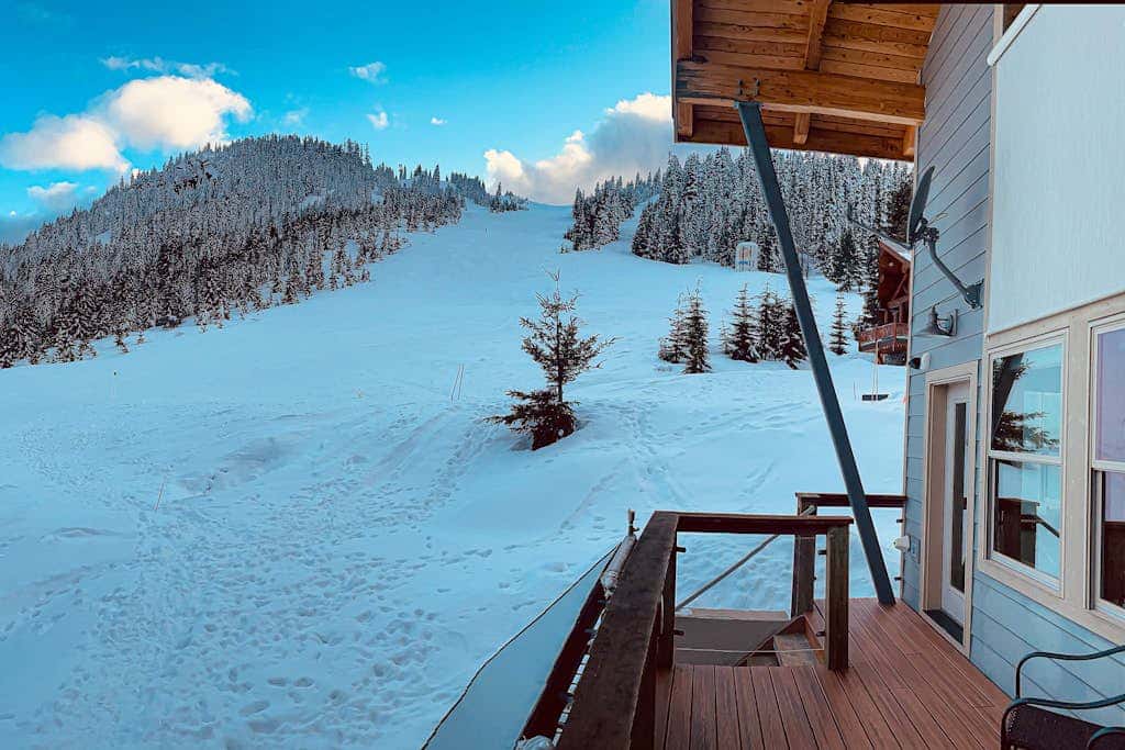 The Skis Knees