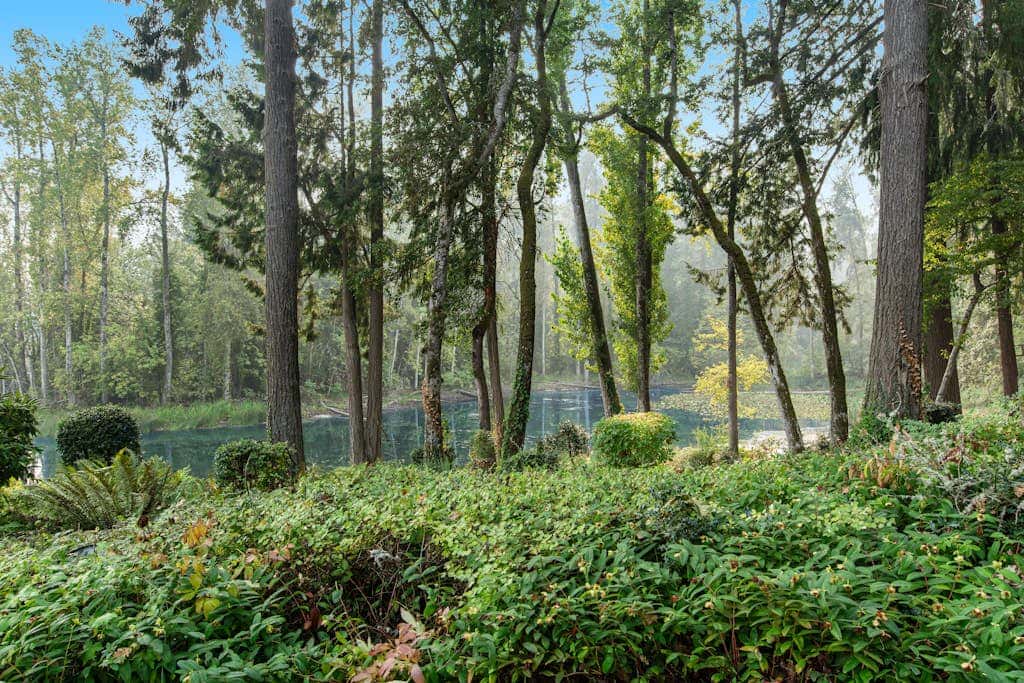 Peaceful Lakeside Retreat