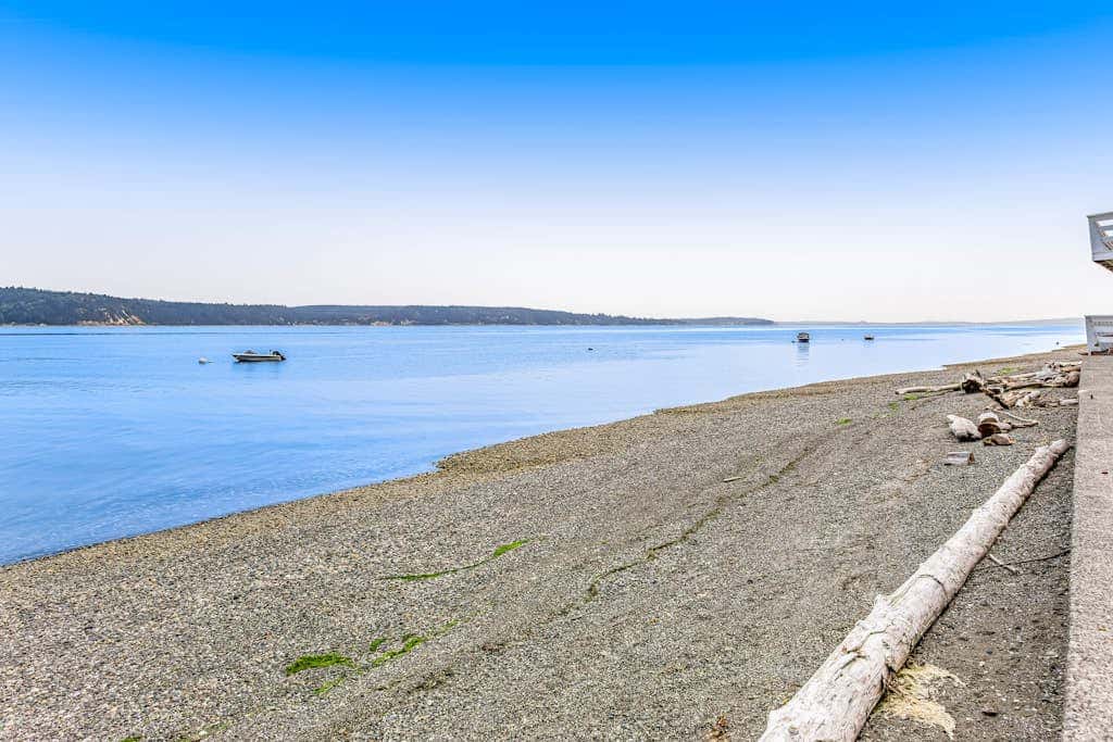 The Tyee Beach Blue Heron