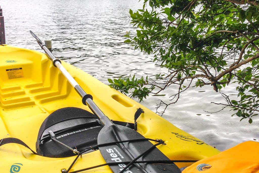 Waterfront Delight at Spindle Point