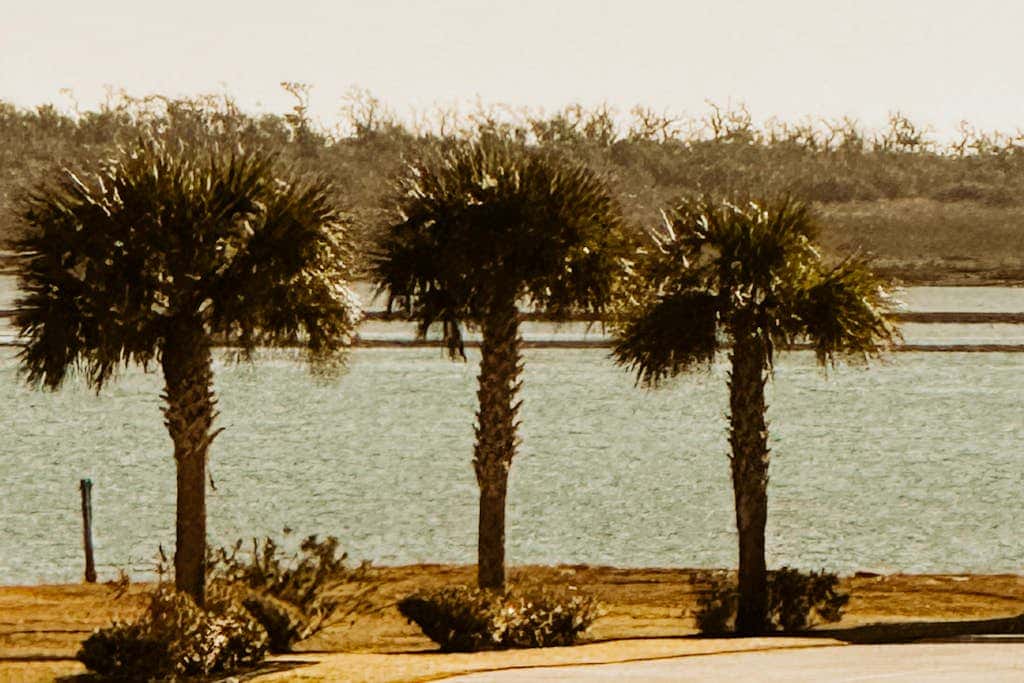 Tortuga Palms - Bayfront, Heated Pool & Hot Tub