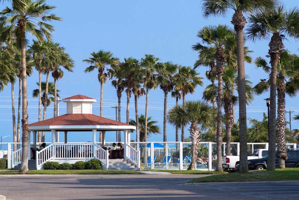 Beach Club - Seas the Day