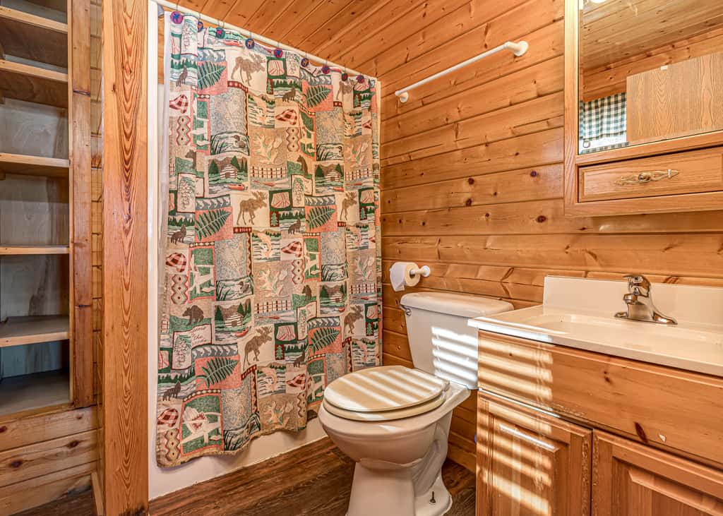 Pinewood Cabin, Resort, Lake, Beach, Kayaks & More