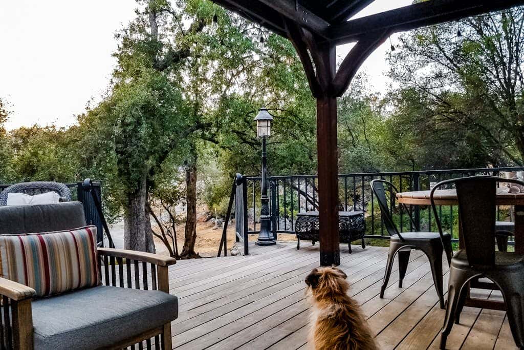 Out in the Wild