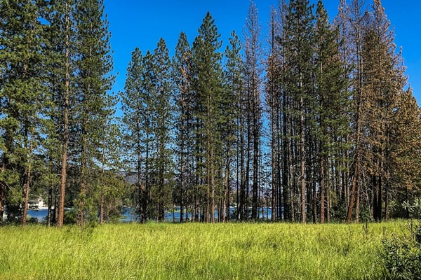 Convenient home near Bass Lake & Yosemite w/shared pool, hot tub