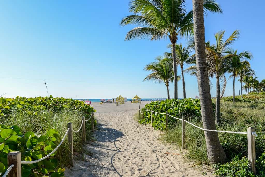 Decoplage Paradise - Unit A