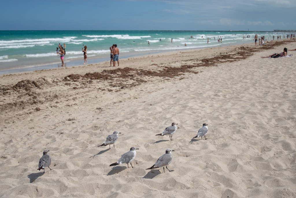So South Beach