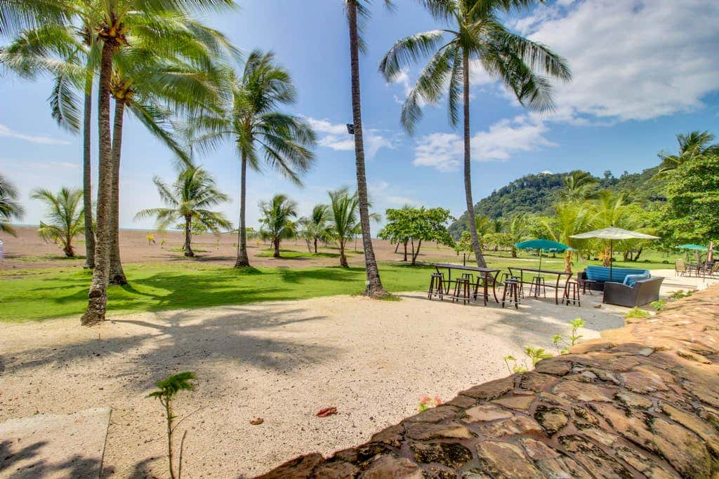 The Palms 501