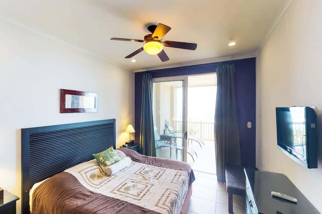 The Palms 501