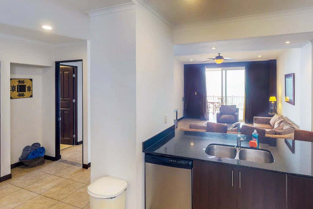 The Palms 501