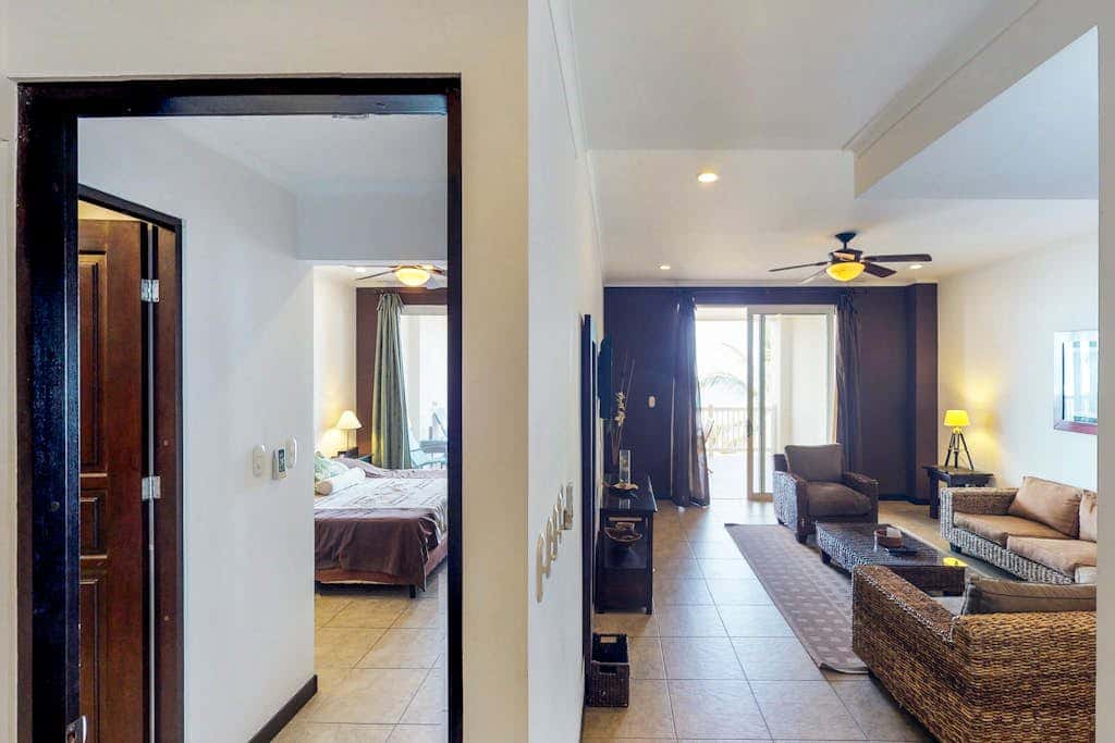 The Palms 501