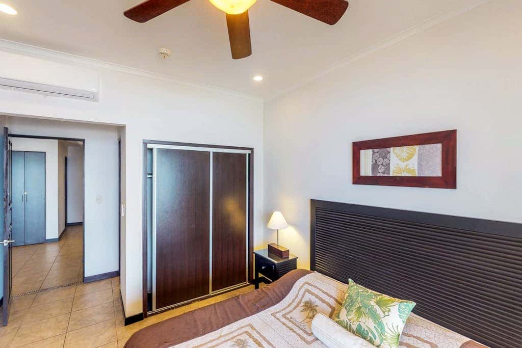 The Palms 501