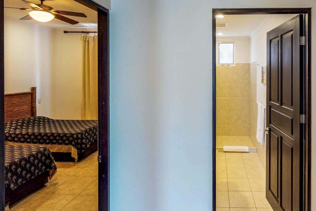 The Palms 501