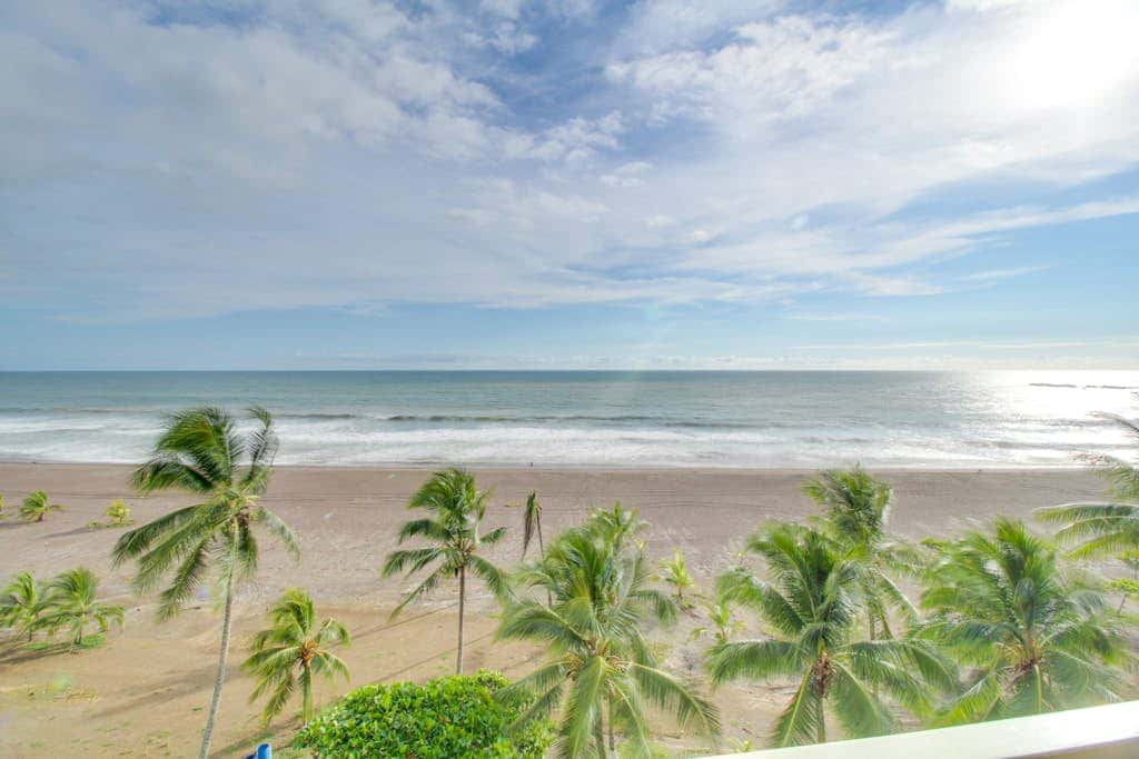 The Palms 603