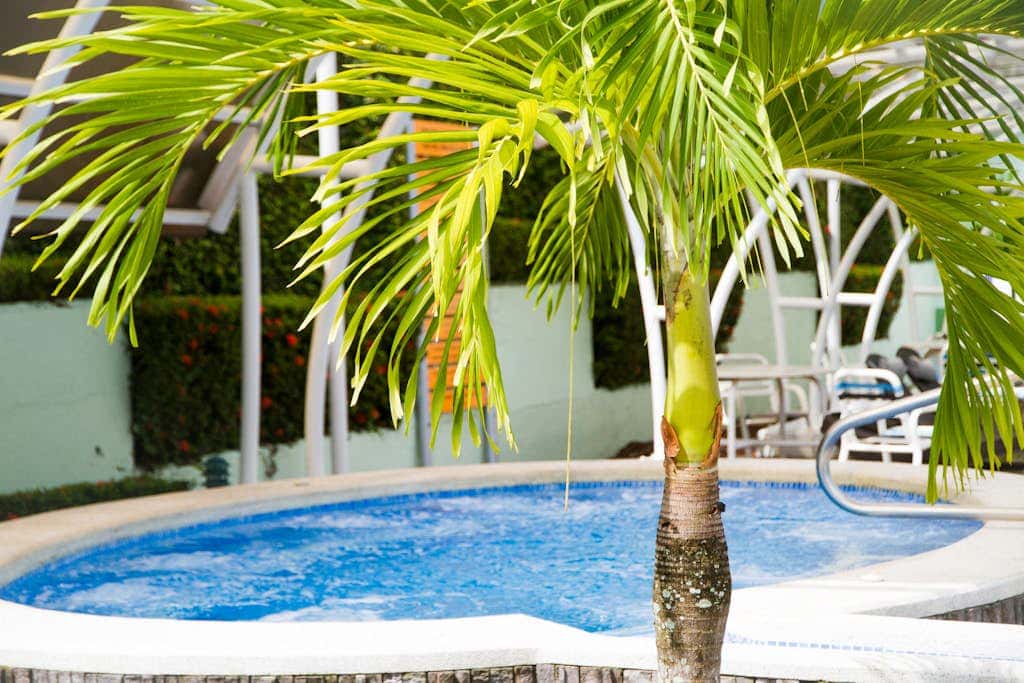 Jaco Tropical 69