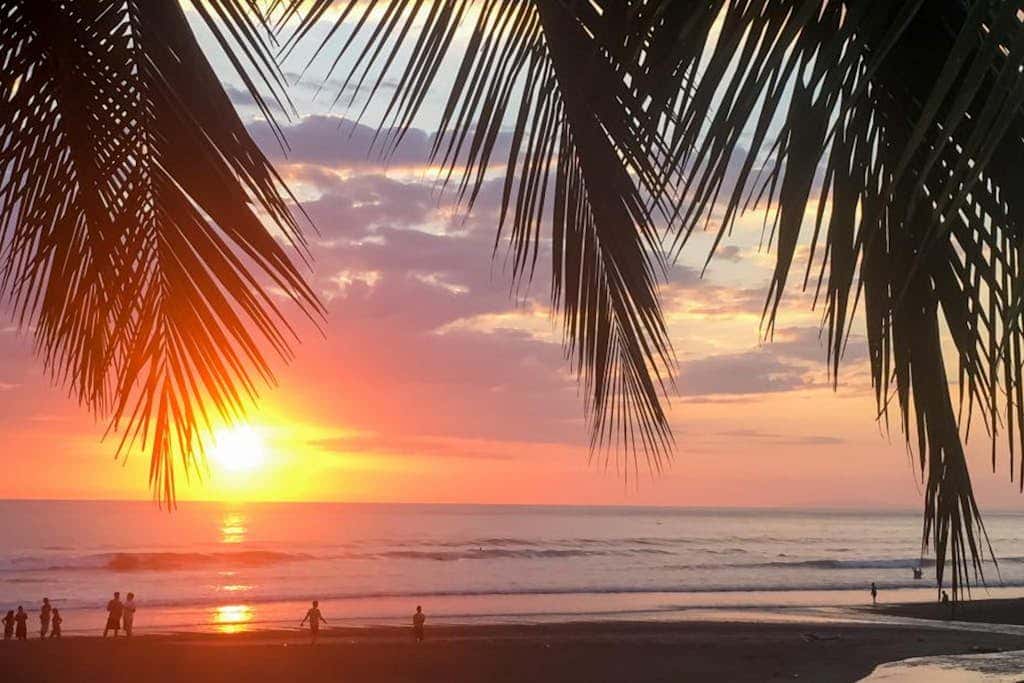 Jaco Tropical 69