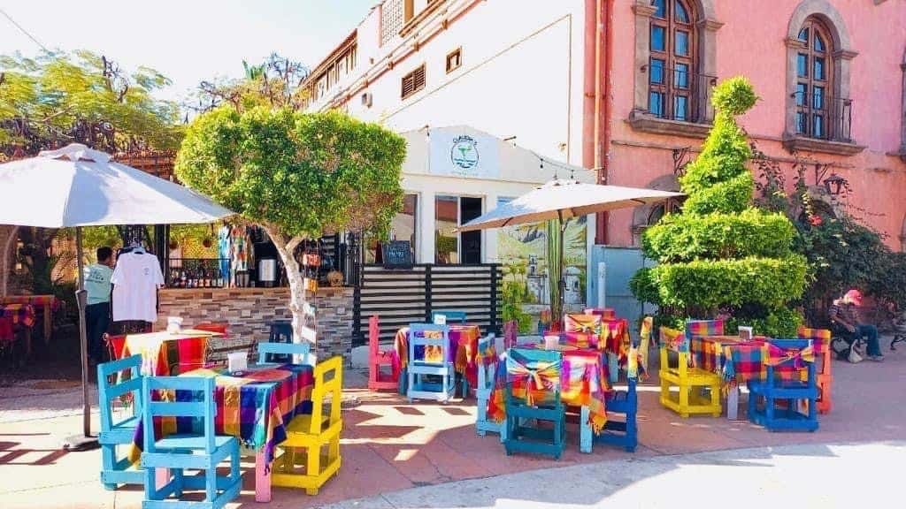 Casa Delfin
