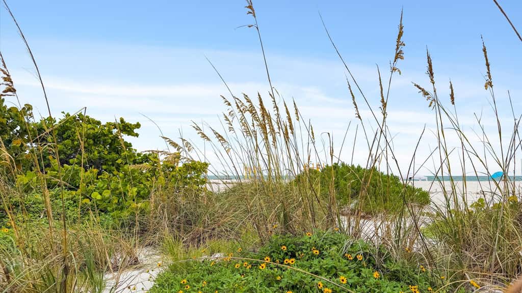 3rd Floor OceanView Condo Steps to Beach - Shared Pool & Putting Green - On-Site Parking