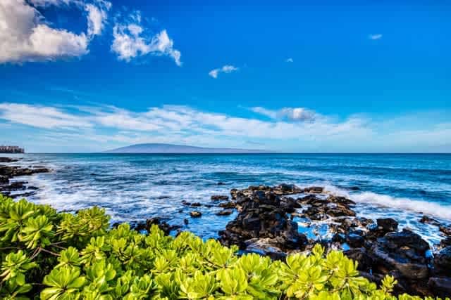 Mahina Surf 117 | One Bedroom Condo w/ Oceanview