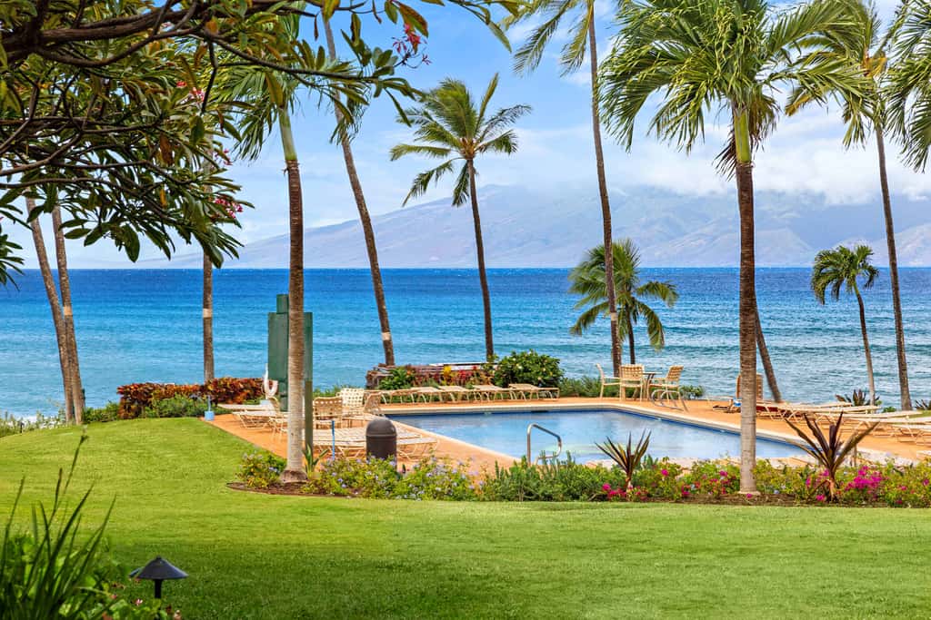 Mahina Surf 117 | One Bedroom Condo w/ Oceanview