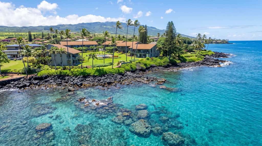 Oceanview condo with lanai, pool view, outdoor BBQ area & W/D