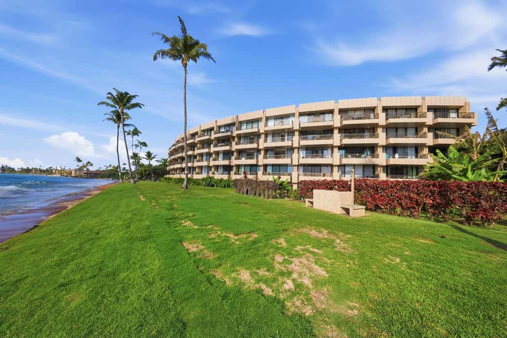 Paki Maui 120