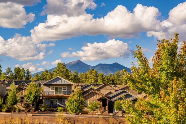 Respite in the Pines | San Francisco Peaks Views | 3BR