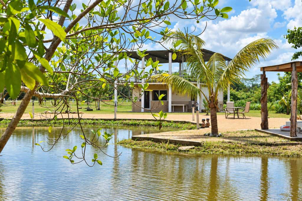 Enjoy modern comfort surrounded by nature at Suburbia Guest House, a peaceful Belmopan studio for two with a private pond, scenic upper deck, king bed, and full kitchen. Relax among tropical greenery while enjoying a comfortable base for exploring Belmopan and the Cayo District.