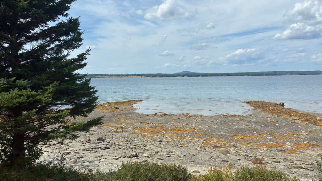 The Prefix: Two oceanfront cottages with bay views near Acadia