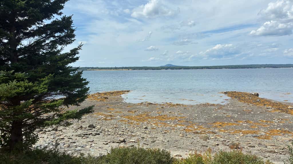 Union Bay Cottages - The Prefix