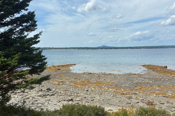 The Prefix: Two oceanfront cottages with bay views near Acadia