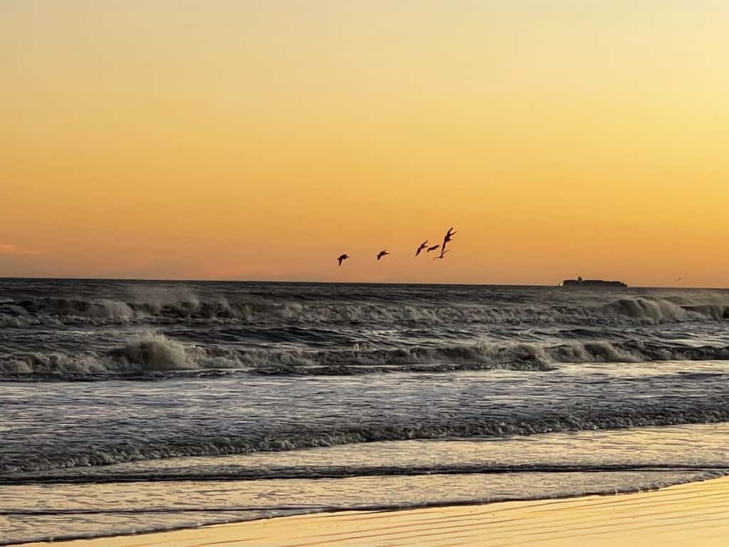 Surfview Cabana