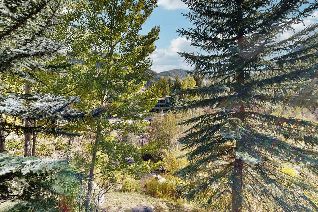 Black Gore Retreat