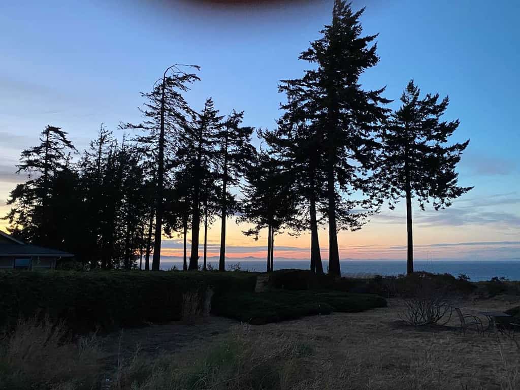 Escape to this charming retreat in Port Angeles, where breathtaking views of the Salish Sea and majestic mountains await you. Perfectly situated for nature lovers, this peaceful holiday home offers easy access to scenic trails and local wildlife spotting. Whether you are looking to explore the natural beauty of Washington or simply relax in a serene setting, this house provides the ideal base for your next getaway.