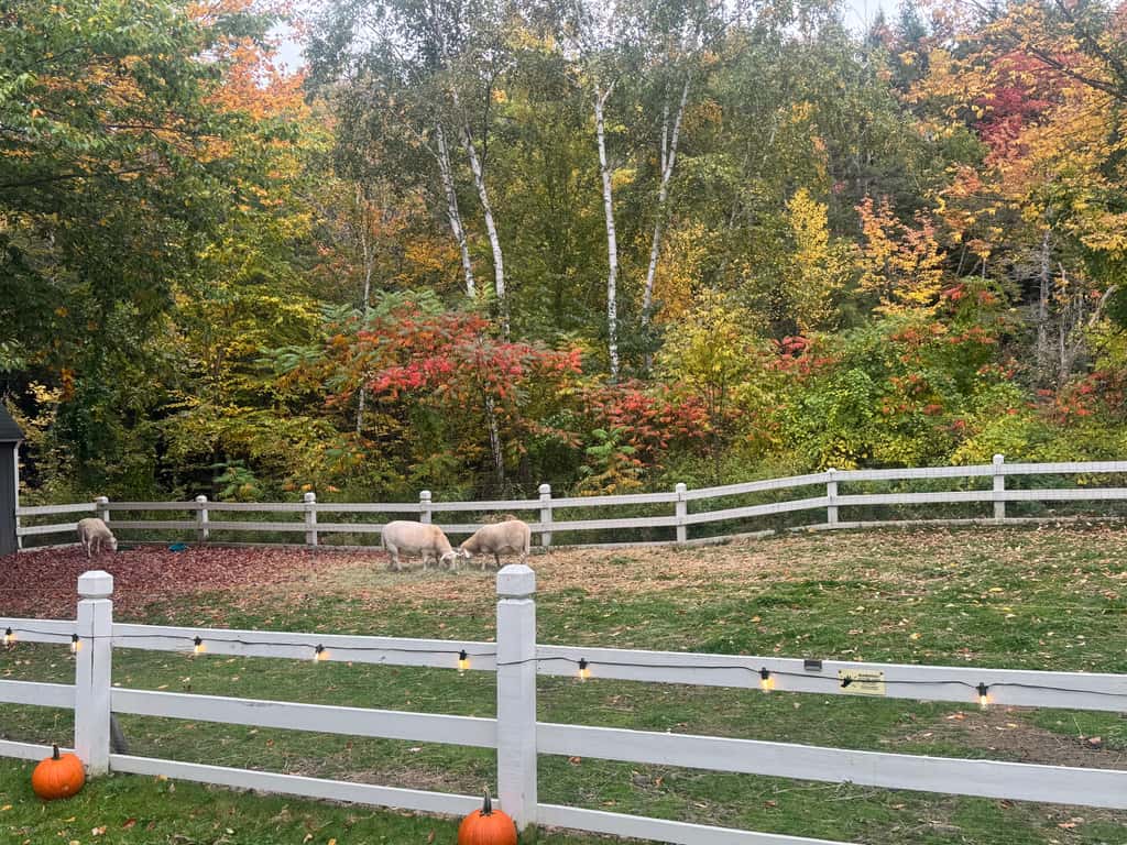 Mountain Moments at Nordic Village