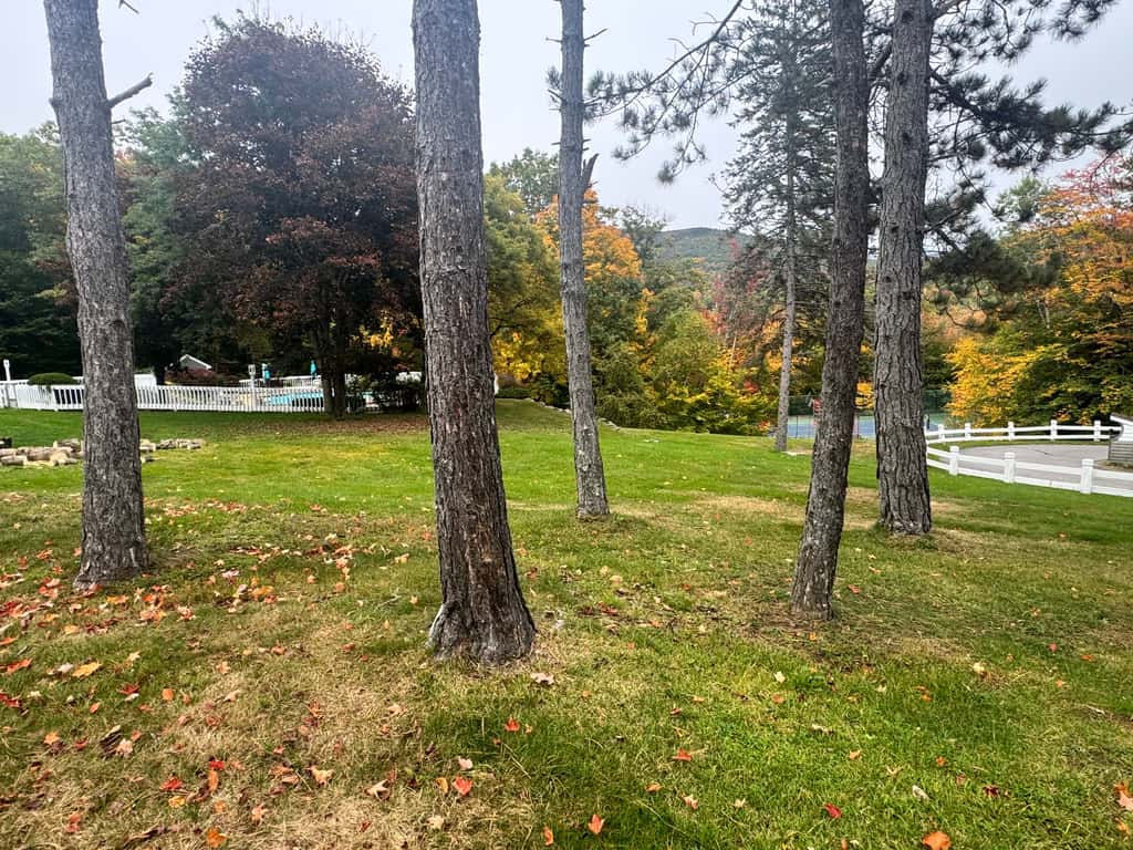 Mountain Moments at Nordic Village