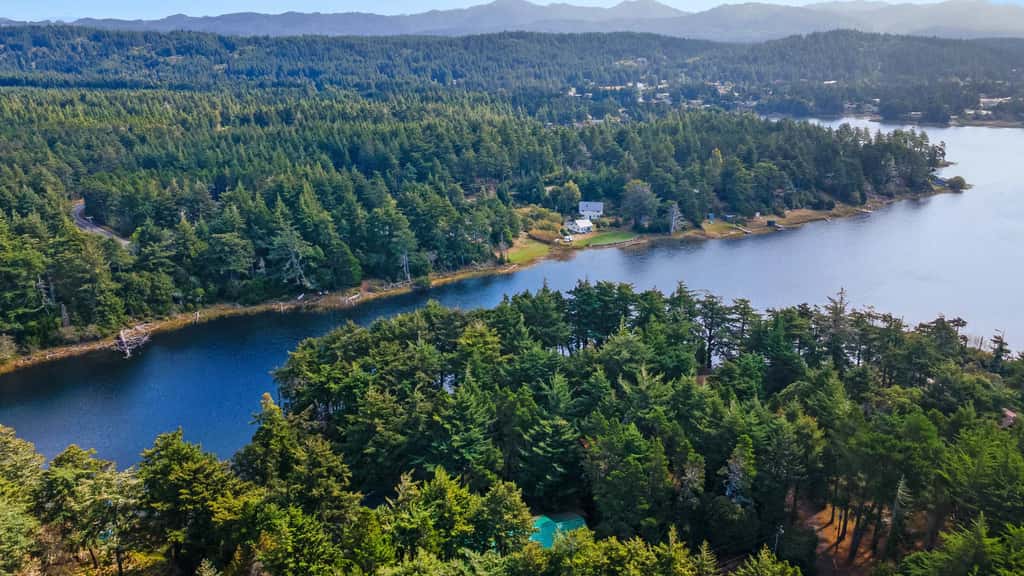 Wooded Lakefront Retreat 