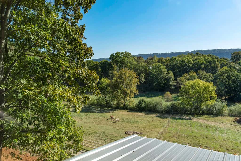 Pine Perch Cabin with Pasture Views