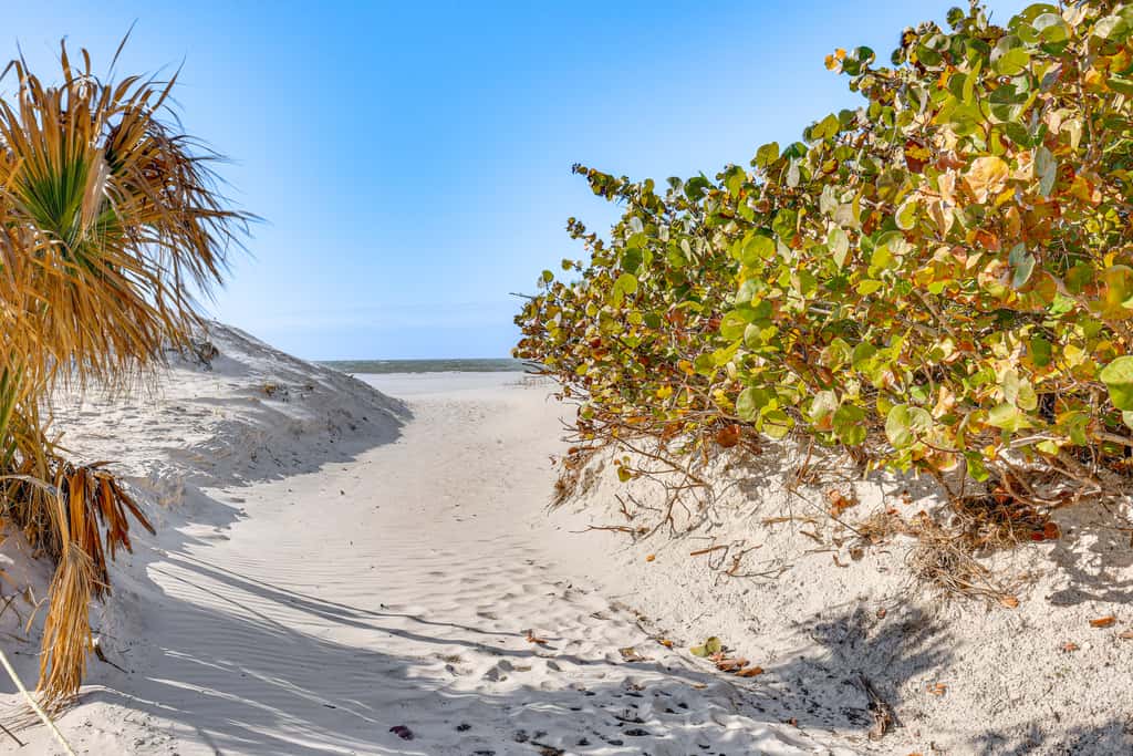 'Driftwood Beach Suite' - Walk to Clearwater Bch