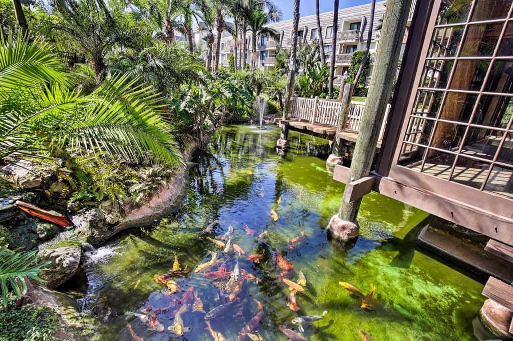 Charming Oceanside Condo w/ Beach & Pool Access!