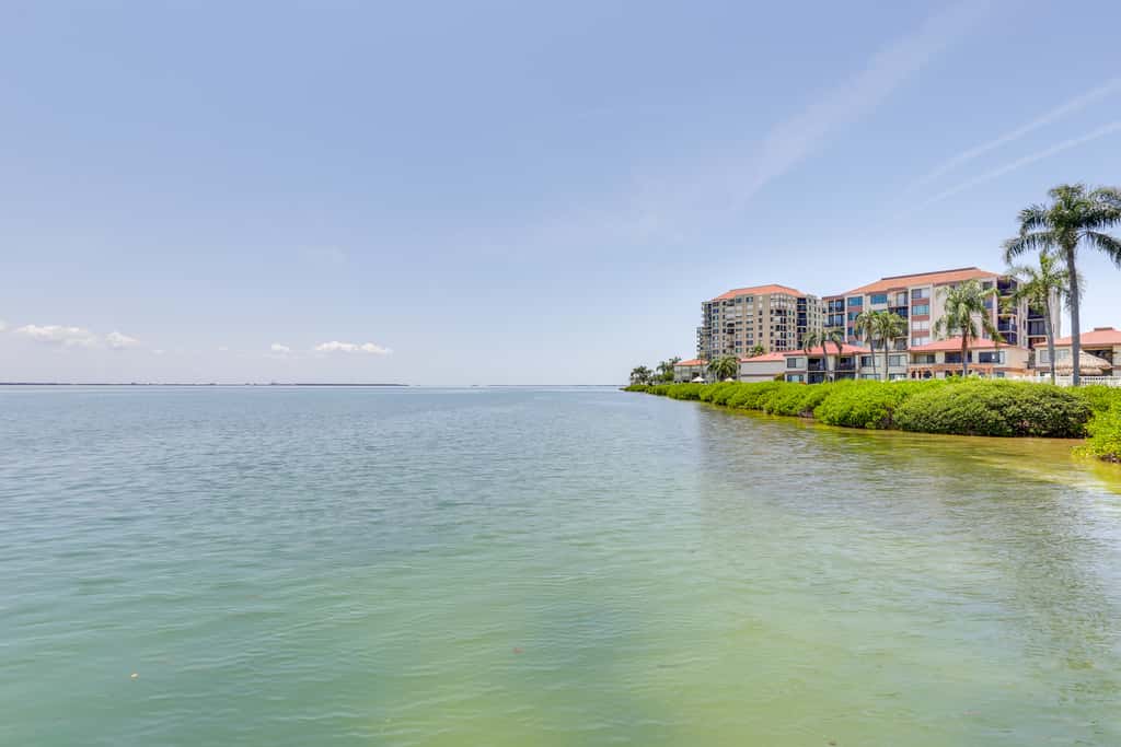 Heated Pool Access: Bayfront Isla Del Sol Condo
