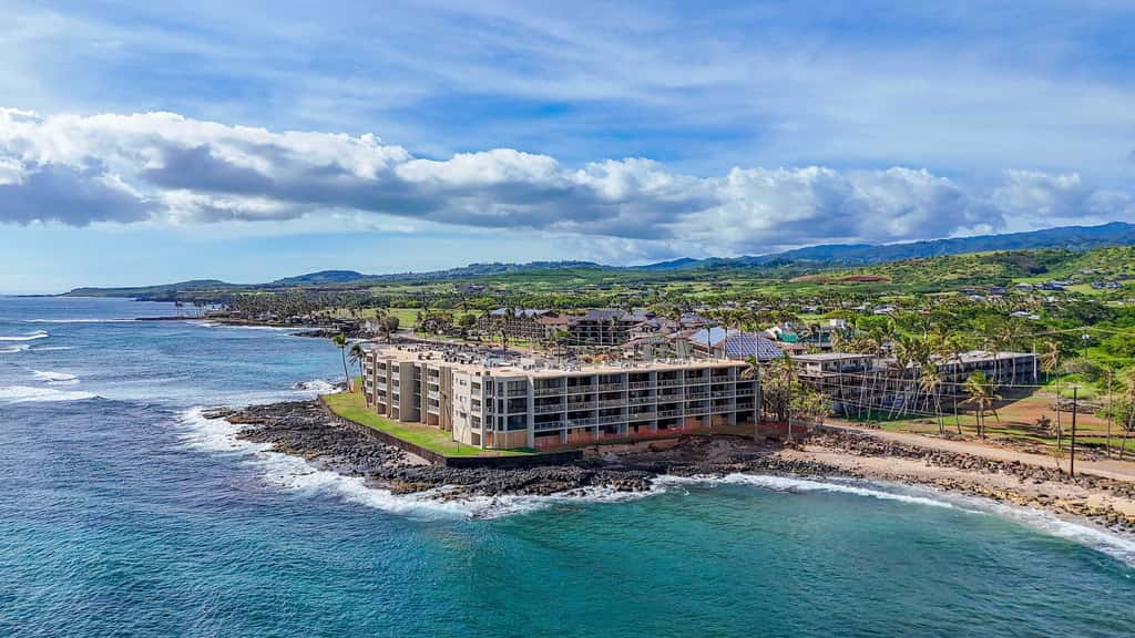 Prince Kuhio 337