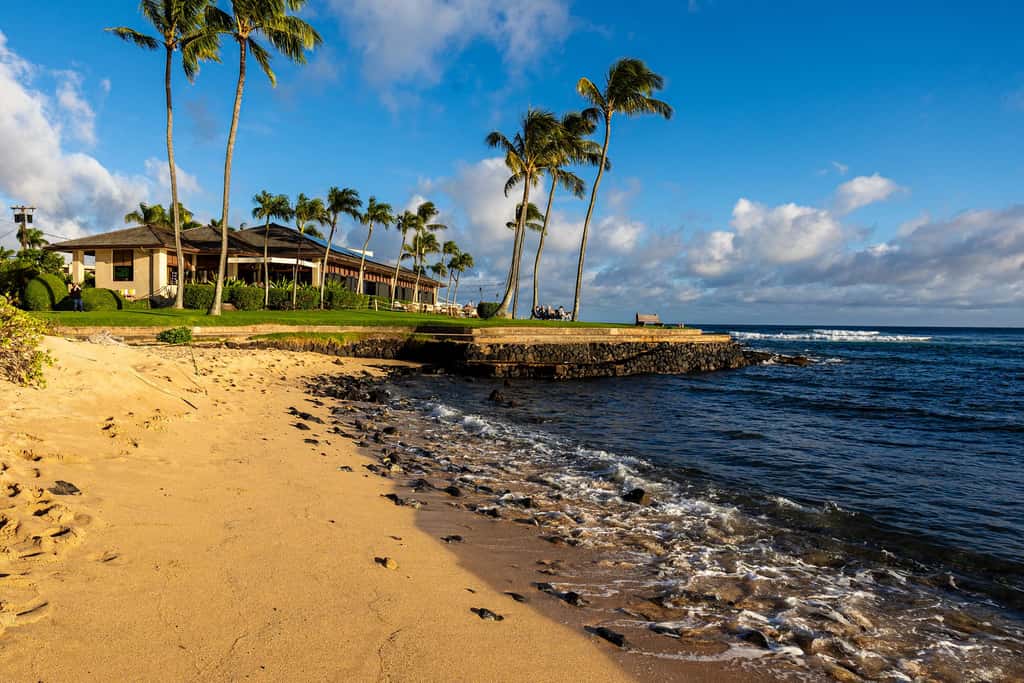 Prince Kuhio 337