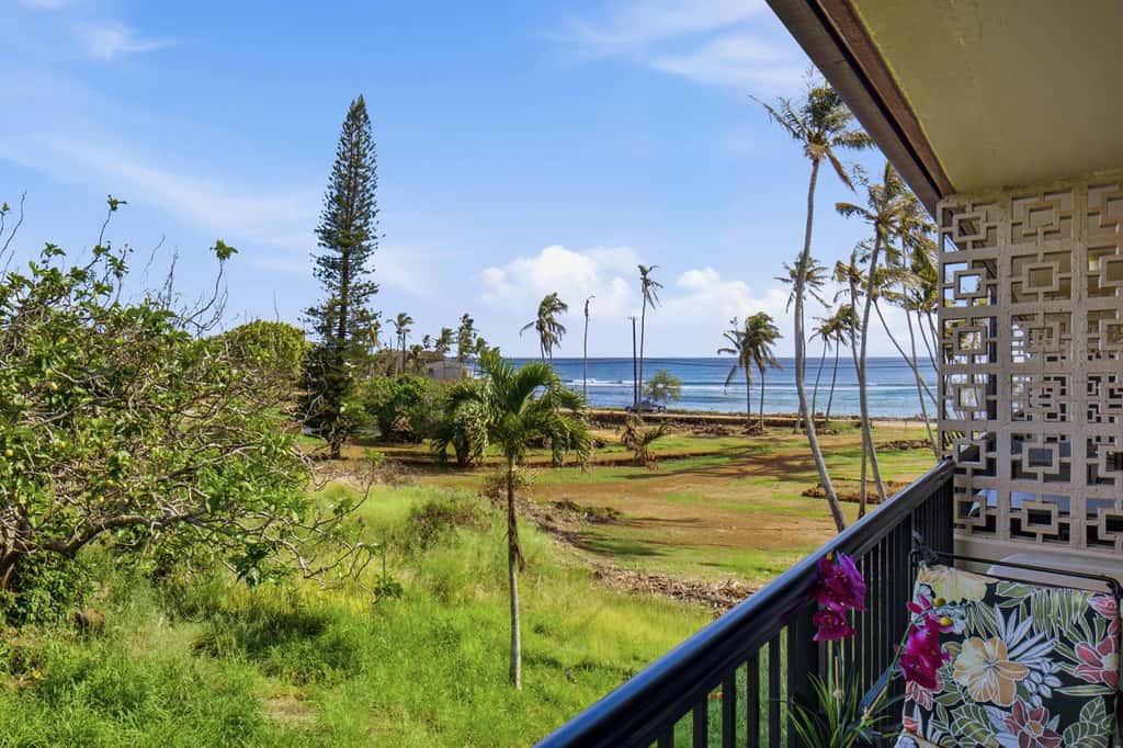 Prince Kuhio 337