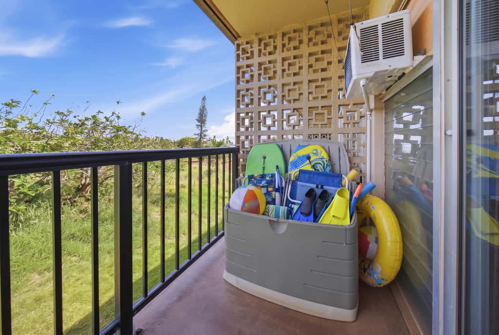 Prince Kuhio 337
