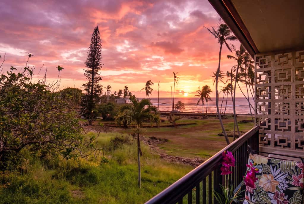 Prince Kuhio 337