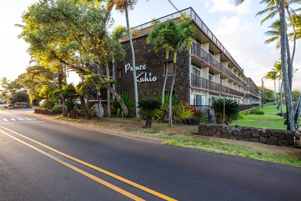Prince Kuhio 337