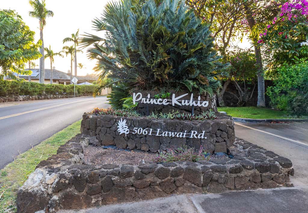 Prince Kuhio 337